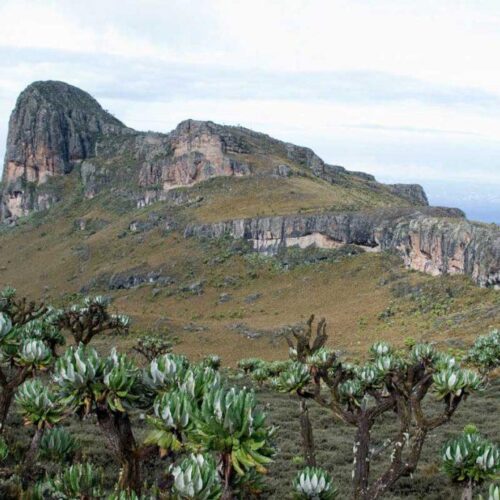 4 Days Mount Elgon Hiking, Caves, Waterfalls, Wildlife & Cultural Safari