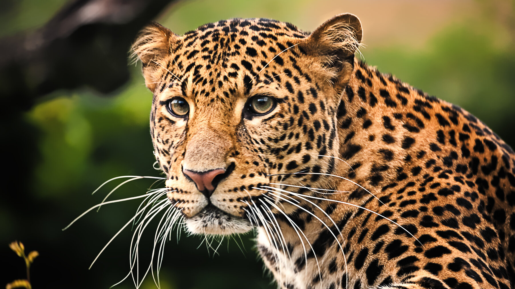 ruku safaris (2)