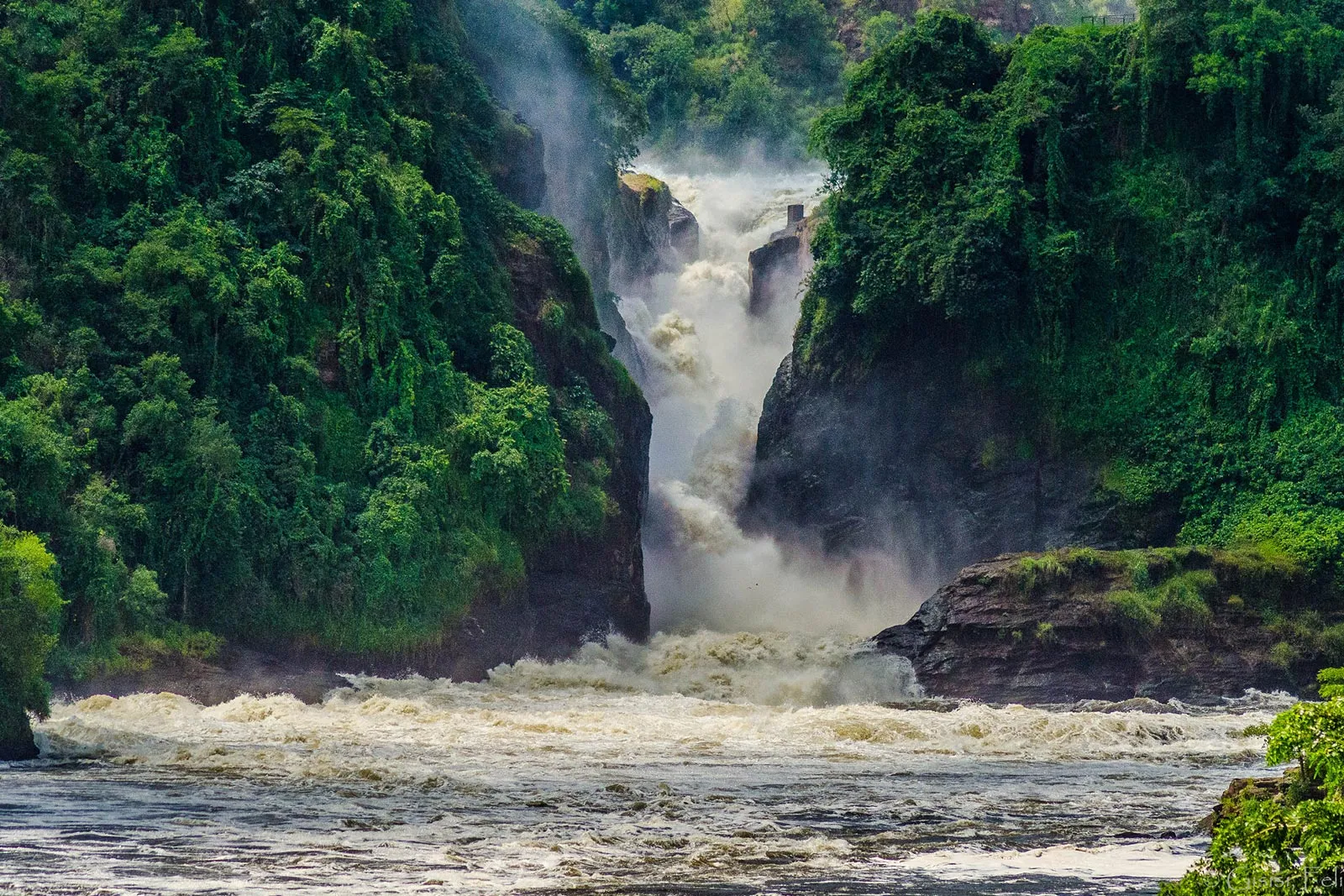 Murchison Falls- httpsrukusafaris (2)