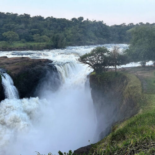 3 Days Murchison Falls Wildlife Safari