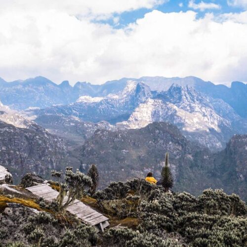 12 Days Rwenzori Mountains, Wildlife & Gorilla Trekking Safari