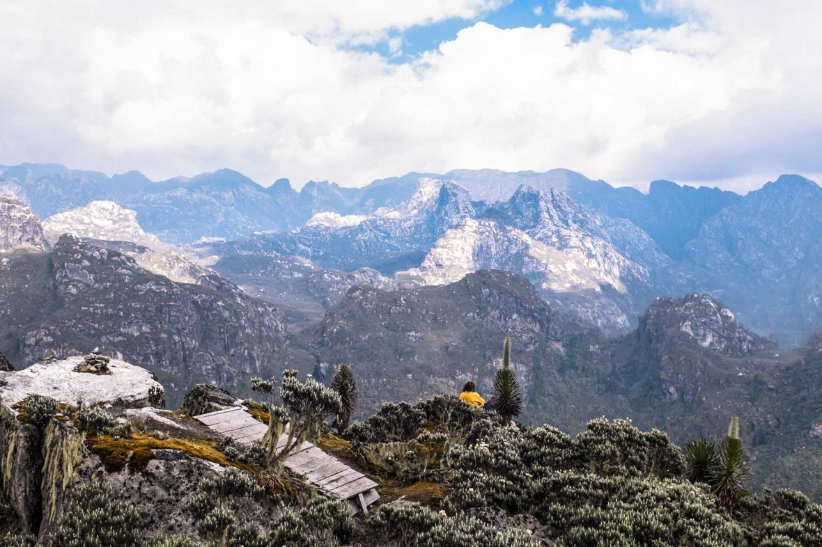 Rwenzori Mountains-ruku safaris (2)